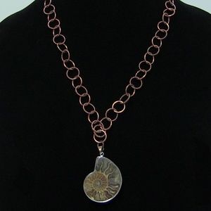 Copper Chain and Nautilus Fossil Necklace